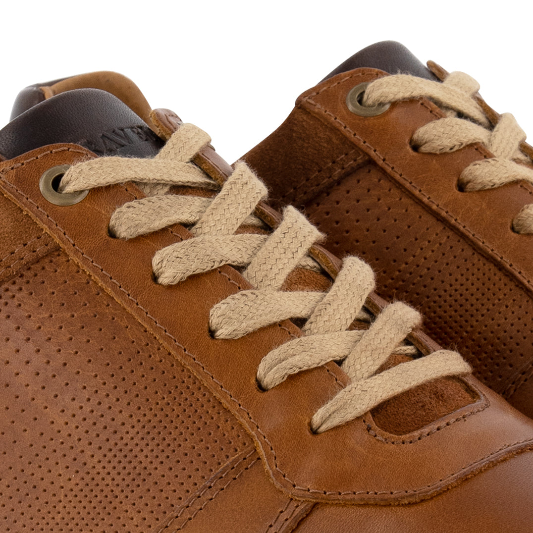 Worcester - Leather sneakers - Men - Cognac DFW