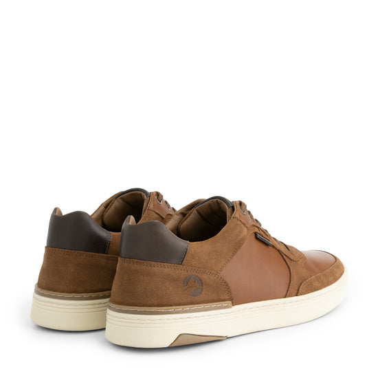 Southam - Leather sneakers - Men - Cognac BD