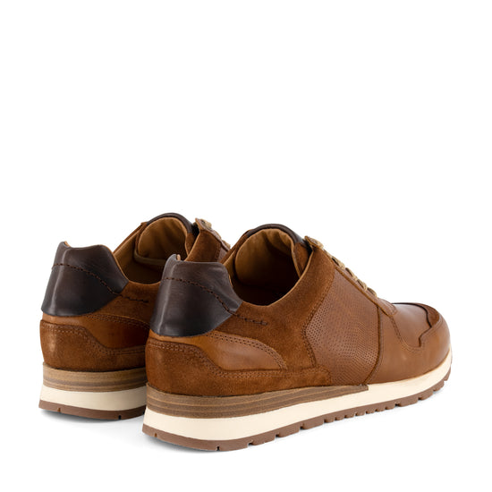 Worcester - Leather sneakers - Men - Cognac BD